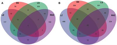 Comparative analysis of the intestinal microbiota of black−necked cranes (Grus nigricollis) in different wintering areas